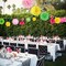 Flamingo Party Supplies, Hawaiian Party Decorations Flamingo and Pineapple Honeycomb Ball Paper Lanterns Paper Fans Pom poms Flowers for Birthday Luau Tropical Bachelorette Party